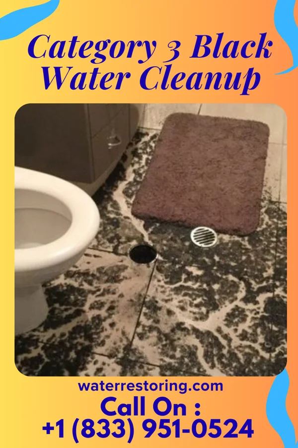 Category 3 Black Water Cleanup in Flower Hill, NY