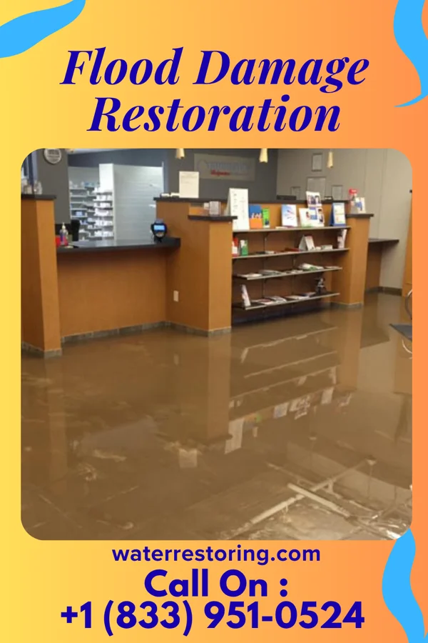 Flood Damage Restoration in Flower Hill, NY